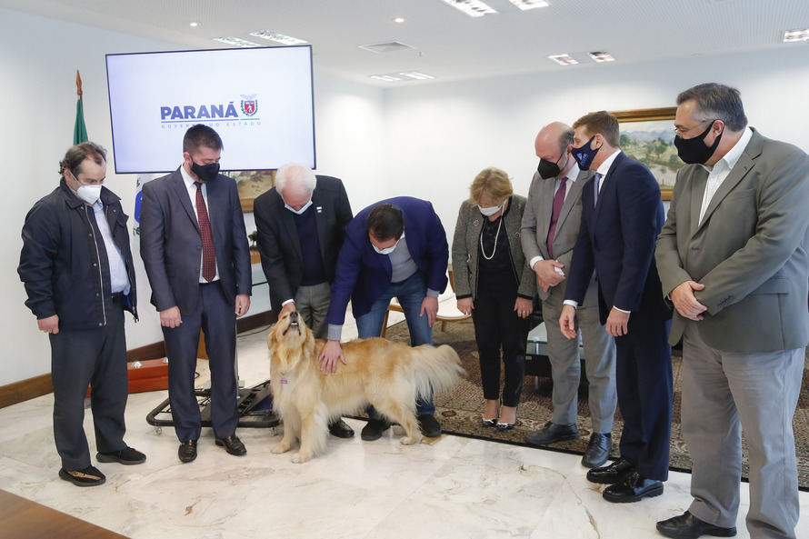 Por intermédio do Estado, TCE destina R$ 18 milhões para apoiar vacina da UFPR