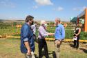 Tocantins busca no Paraná inspiração para fomentar cooperativismo na agricultura