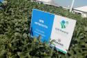 Estado marca presença do Show Rural com tecnologia, inovação e apoio ao agro