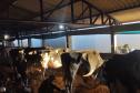 Estado participa da abertura da ExpoFrísia, uma das maiores feiras da pecuária leiteira do País