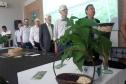 IDR-Paraná lança cultivar de feijão carioca que possibilita maior tempo de armazenamento