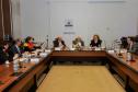 Piana destaca desenvolvimento sustentável do Paraná ao embaixador da Bélgica