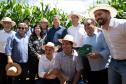 Governador assina protocolos para uso de biogás e biometano no transporte rodoviário