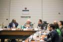 Piana apresenta ao embaixador de Ruanda potenciais parcerias com o Paraná