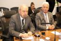 Piana apresenta avanços econômicos do Paraná a autoridades argentinas