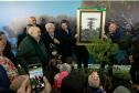 Jardim do Palácio Iguaçu recebe clone de araucária de 700 anos