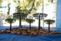 Jardim do Palácio Iguaçu recebe clone de araucária de 700 anos