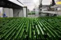 Com R$ 1 bilhão da Ambev, Paraná vai concentrar produção de garrafas para todo o Brasil