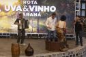 Rota da Uva & Vinho: Paraná lança circuito para impulsionar vitivinucultura e valorizar tradições