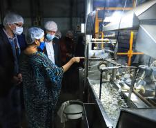 Em Londrina, Darci Piana reforça apoio do Estado à cadeia produtiva da seda