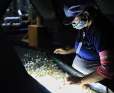 Em Londrina, Darci Piana reforça apoio do Estado à cadeia produtiva da seda