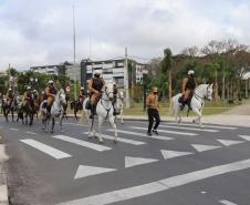 Governo do Estado homenageia profissionais da saúde em cerimônia da Semana da PátriaGoverno do Estado homenageia profissionais da saúde em cerimônia da Semana da PátriaGoverno do Estado homenageia profissionais da saúde em cerimônia da Semana da PátriaGoverno do Estado homenageia profissionais da saúde em cerimônia da Semana da PátriaGoverno do Estado homenageia profissionais da saúde em cerimônia da Semana da PátriaGoverno do Estado homenageia profissionais da saúde em cerimônia da Semana da PátriaGoverno 