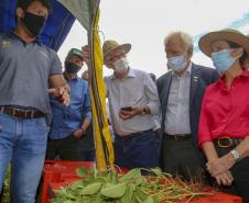 Ministério da Agricultura e Estado avaliam efeitos da estiagem e apoiam produtores do Paraná