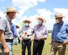 Tocantins busca no Paraná inspiração para fomentar cooperativismo na agricultura