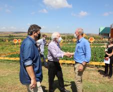 Tocantins busca no Paraná inspiração para fomentar cooperativismo na agricultura