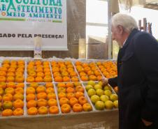 Piana destaca atuação do Estado para impulsionar a produção de ponkan em Cerro Azul