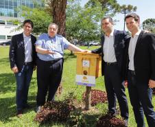 Jardim do Palácio Iguaçu ganha colmeias de abelhas nativas e horta orgânica