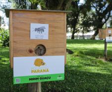 Jardim do Palácio Iguaçu ganha colmeias de abelhas nativas e horta orgânica