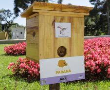 Jardim do Palácio Iguaçu ganha colmeias de abelhas nativas e horta orgânica