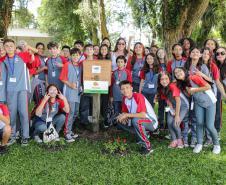 Jardim do Palácio Iguaçu ganha colmeias de abelhas nativas e horta orgânica