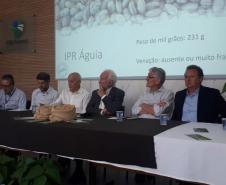 IDR-Paraná lança cultivar de feijão carioca que possibilita maior tempo de armazenamento