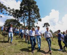 Governador dá início à ação que vai proteger mil nascentes de água até o Dia da Árvore