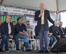 Casa Fácil Paraná: com apoio do Estado, 192 famílias de Cascavel recebem moradias