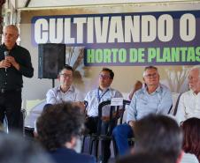 Darci Piana lança horto de plantas medicinais, aromáticas e condimentares em Londrina 