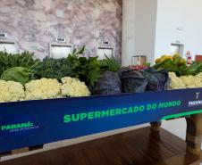 Governador mostra investimentos no Paraná a empresários: R$ 285 bi desde 2019