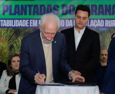 Programa do Estado vai atender pessoas em vulnerabilidade com casas rurais sustentáveis