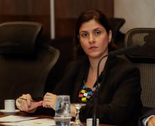Piana destaca desenvolvimento sustentável do Paraná ao embaixador da Bélgica