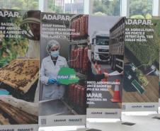 Com investimento de R$ 9 milhões, Estado renova frota da Adapar com 70 veículos novos