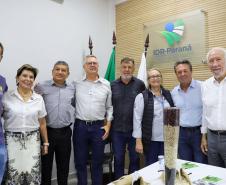 IPR Tapicuru: com muita ciência, Paraná entrega nova variedade de feijão para o Brasil