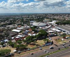 Expoingá: Estado firma acordo para impulsionar sistema que une lavoura, pecuária e floresta
