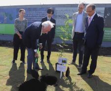 Multinacional japonesa de diagnóstico anuncia nova planta em São José dos Pinhais