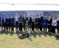Multinacional japonesa de diagnóstico anuncia nova planta em São José dos Pinhais