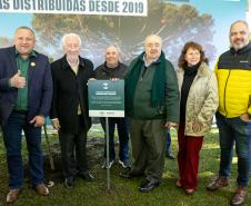 Jardim do Palácio Iguaçu recebe clone de araucária de 700 anos