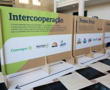 Modelo reconhecido pela ONU, cooperativismo do Paraná é celebrado no Palácio Iguaçu