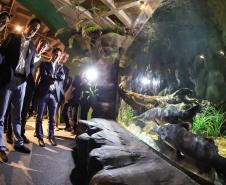 Novo atrativo: Foz do Iguaçu ganha um dos maiores aquários da América do SulNovo atrativo: Foz do Iguaçu ganha um dos maiores aquários da América do Sul