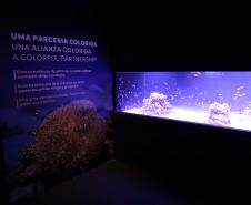 Novo atrativo: Foz do Iguaçu ganha um dos maiores aquários da América do SulNovo atrativo: Foz do Iguaçu ganha um dos maiores aquários da América do Sul