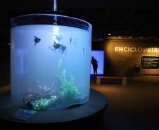 Novo atrativo: Foz do Iguaçu ganha um dos maiores aquários da América do SulNovo atrativo: Foz do Iguaçu ganha um dos maiores aquários da América do Sul