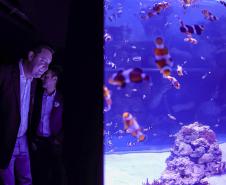 Novo atrativo: Foz do Iguaçu ganha um dos maiores aquários da América do SulNovo atrativo: Foz do Iguaçu ganha um dos maiores aquários da América do Sul