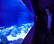 Novo atrativo: Foz do Iguaçu ganha um dos maiores aquários da América do SulNovo atrativo: Foz do Iguaçu ganha um dos maiores aquários da América do Sul