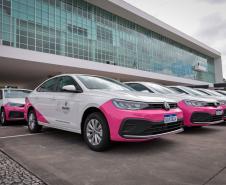 Paraná entrega 40 ônibus e 82 carros para reforçar cuidado às mulheres e pessoas idosas