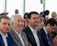 Paraná anuncia investimento de R$ 115 milhões em políticas públicas para mulheres