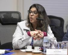 Estado prepara plano de retomada econômica para Rio Bonito do Iguaçu após tornado