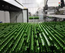 Com R$ 1 bilhão da Ambev, Paraná vai concentrar produção de garrafas para todo o Brasil