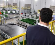 Com R$ 1 bilhão da Ambev, Paraná vai concentrar produção de garrafas para todo o Brasil