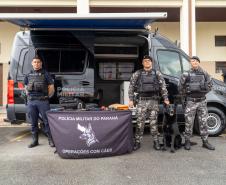 Câmeras com IA igual a Nova York: entenda como funciona a nova fase do Olho Vivo