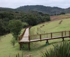 Estado autoriza R$ 21,1 milhões para infraestrutura na região dos Alagados, em Ponta Grossa